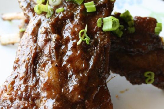 Spare Ribs | Made by Meaghan Moineau