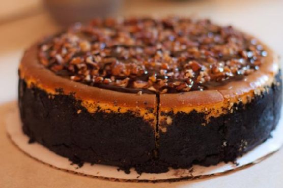 Easy Turtle Pumpkin Pie | Made by Meaghan Moineau