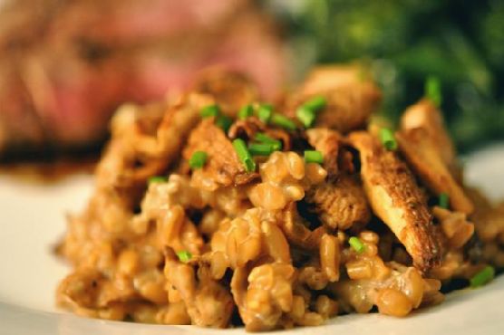 Farro With Porcini, Chanterelles & Mascarpone | Made by Meaghan Moineau