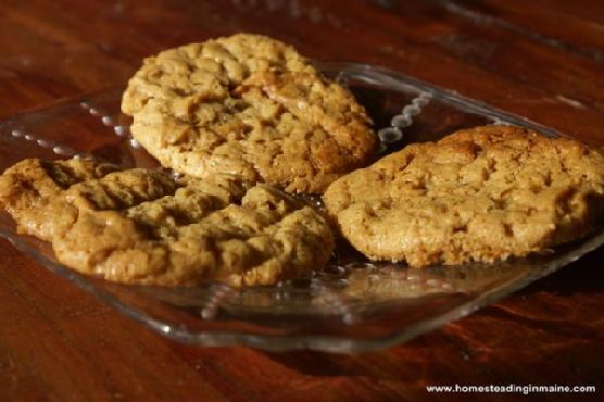 Flour-Less Peanut Butter Cookies | Made by Meaghan Moineau
