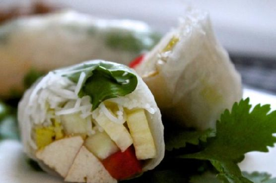 Summer Rolls | Made by Meaghan Moineau