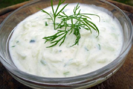 Tzadziki | Made by Meaghan Moineau