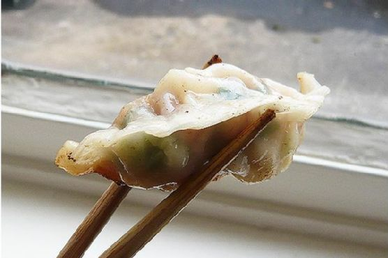 Japanese Gyoza Pot Stickers | Made by Meaghan Moineau