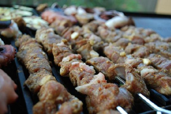 Yogurt Marinated Lamb Skewers | Made by Meaghan Moineau