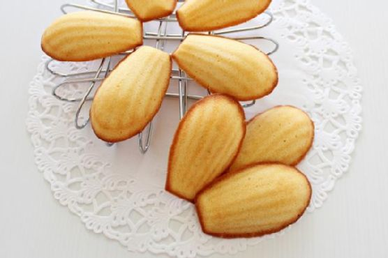 Yoghurt Honey Madeleines | Made by Meaghan Moineau