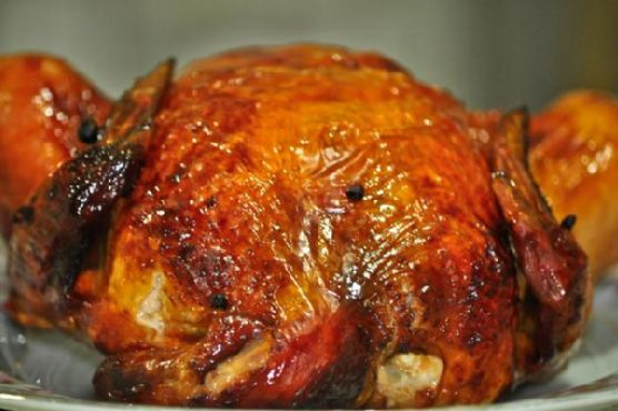 Turbo Chicken | Made by Meaghan Moineau