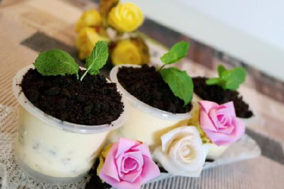 Valentine’s Day Potted Plant Ice-Cream Desserts | Made by Meaghan Moineau