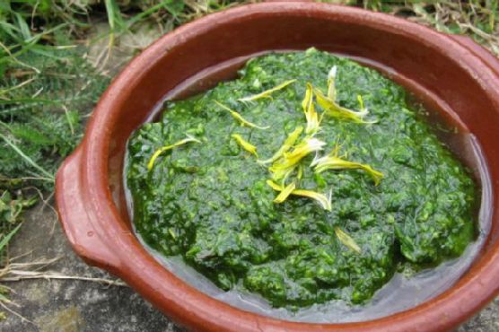 Dandelion pesto | Made by Meaghan Moineau