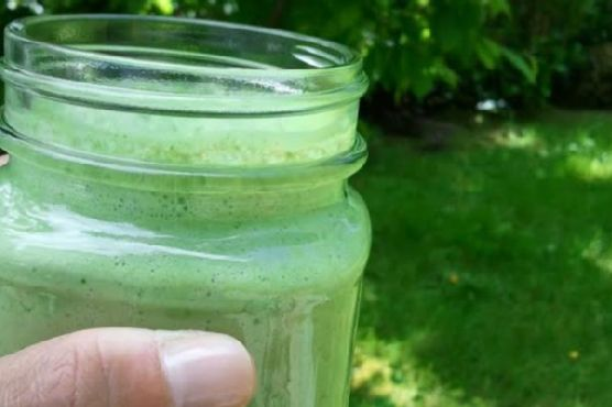 Skinny Green Monster Smoothie | Made by Meaghan Moineau